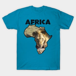 Africa Wildlife Continent Lion Stare T-Shirt